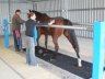 Treadmill in use 